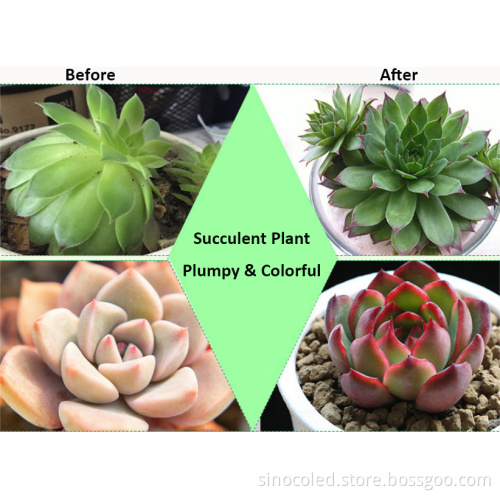 LED Grow Light Design for Hydroponic Container Germination